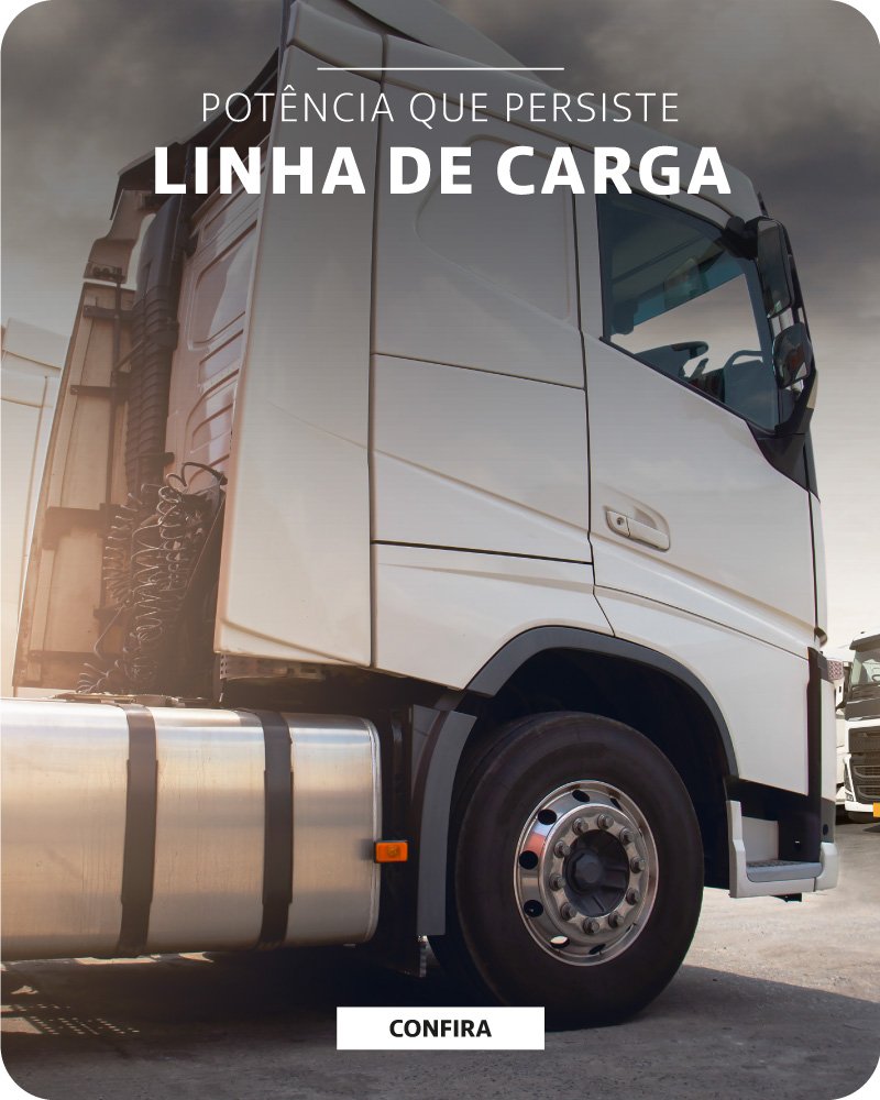 fixo carrossel bosak pneus oferta promocao cupom desconto frete gratis 3